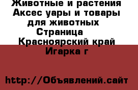 Животные и растения Аксесcуары и товары для животных - Страница 2 . Красноярский край,Игарка г.